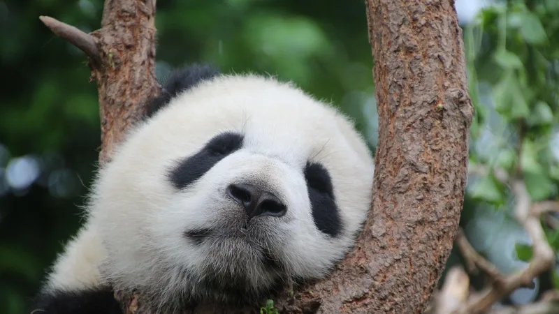 笔记